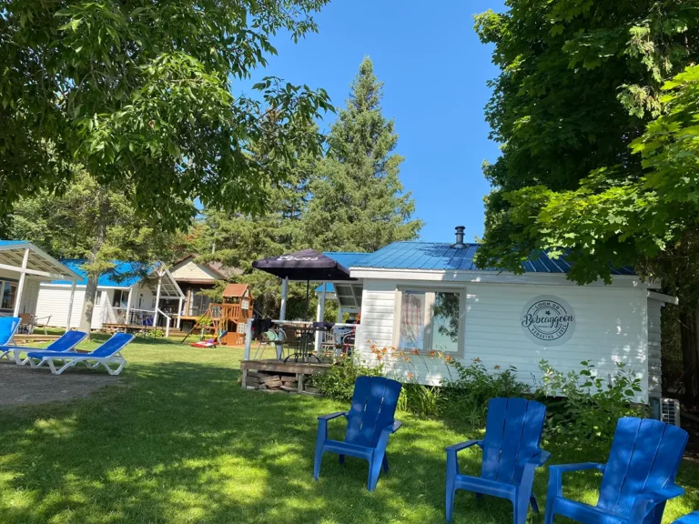 bobcaygeon resort waterfront cottages and muskoka chairs